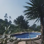 Pondokan Tjiburial - Swimmingpools