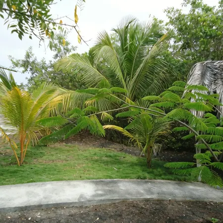 Cartago Bay