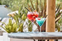 Hotel Ankaa - Adults Only - bar