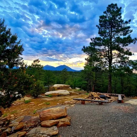 Rustic Oak Log Cabin in the Ponderosa Pines great for a quiet get away.