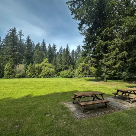 Modern Cabin | New Hot Tub · Sauna · EV Charger