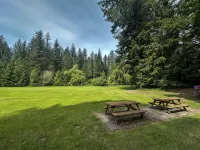Modern Cabin | New Hot Tub · Sauna · EV Charger