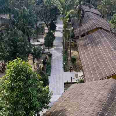 Eden Jungle Resort Hotel Exterior
