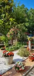 Renovated and equipped apartment in Cervia-Milano Marittima - 2-Star
