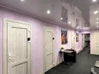 Osipov Hotel - 2성급