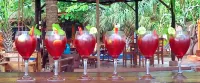 El Belga Loco - bar
