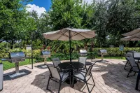 Catina Vacation Rental - Homestays