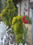 The Frailejon House - 別墅