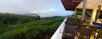 Sabah Tea Garden - Bergblick