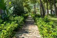 Z-Villas Beach Hotel - Villas