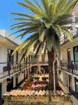 La Palma Co-living