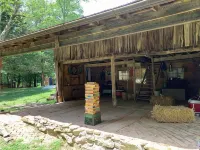Enchanting Glamping Tent on Lake Cumberland