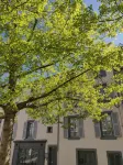 5 Chambres en Ville - 3 stelle
