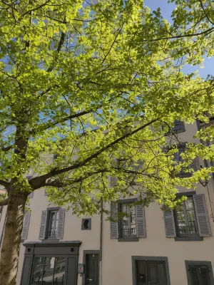 5 Chambres en Ville - 3 stjerner