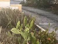 1 Bedroom near Red Hook St Thomas VI Hotels in Nazareth