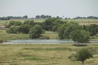 Beaumont Ranch - Pet friendly