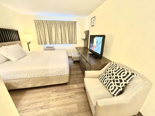 Moline Bell - Pet friendly