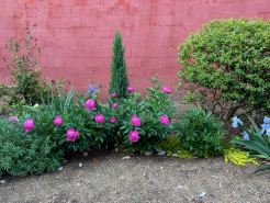 Historic Downtown Garden Oasis with Private Patio