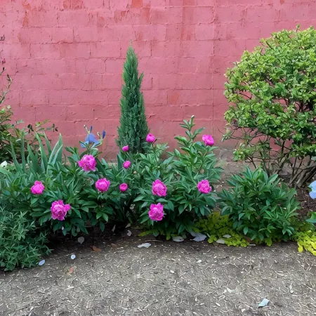 Historic Downtown Garden Oasis with Private Patio