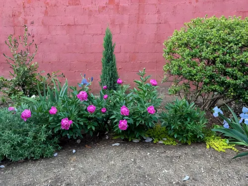 Historic Downtown Garden Oasis with Private Patio - Wifi