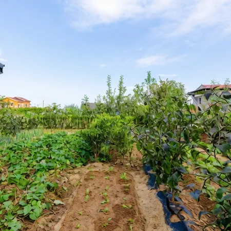 Yangyang Pink Beach Pension