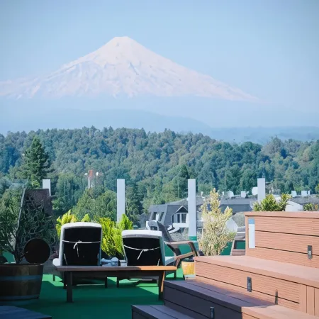 Hotel Pucón Indómito Hotels in Pucon