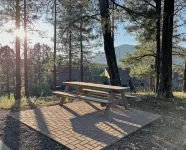 Tranquil Retreat In the Pines w/Mountain Views! Updated 1 Bed 1 Bath - balcony