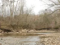 Between Fall Creek Falls, Burgess Falls and Rock Island State Parks - Homestays