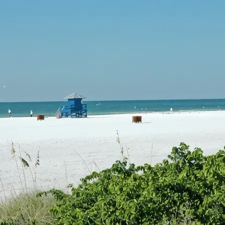 Siesta Key Palms Resort