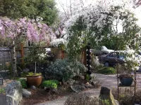 Seattle at its Best - the Premiere Walking Neighborhood!! Hotels in Wallingford