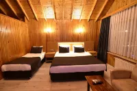 Green Palace Suite Hotel - Cho phép mang theo thú cưng