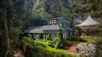 Amber by The Tamarillo - Bed and Breakfasts