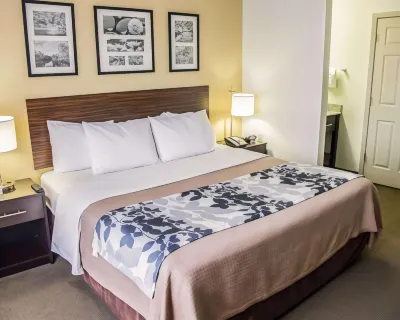 Sleep Inn Tinley Park I-80 Near Amphitheatre-Convention Center فنادق في Tinley Park