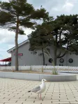 Lieblingsplatz Hotel Surf Rescue Club - Strand