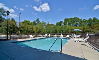 Quality Inn Stone Mountain Atlanta