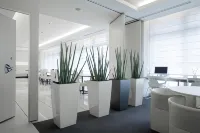 HOTEL MYSTAYS Shimizu