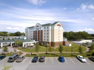 Hilton Garden Inn Auburn Riverwatch