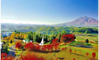 Romantopia, A Landscape of Forest and Stars, the Swan, Hotel of Stars