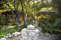 Hotel Tropico Latino Hotels in Cobano