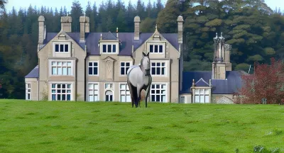 Blessingbourne Cottages & Apartments Hotels in 