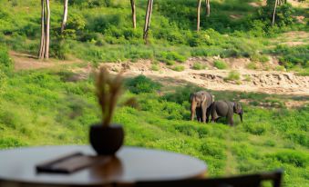 Wild Cottages Elephant Sanctuary Resort