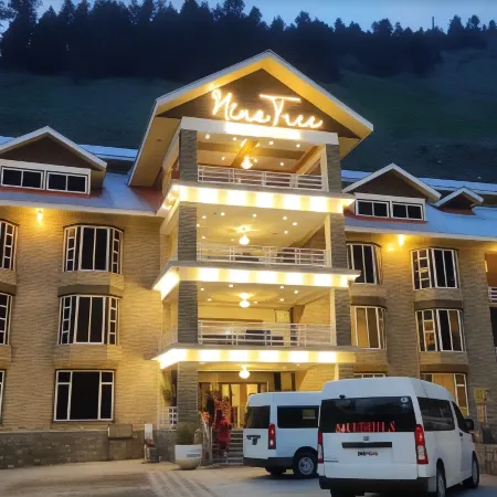 Nine Tree Hotel Naran