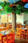 Oasis Resort and Spa - Desayuno
