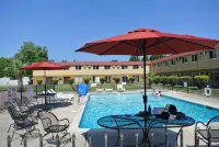 Travelodge by Wyndham Red Bluff South of Redding - Pools