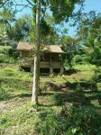 Duegoal Farmhouse Hotel dekat Stockist NASA DK.1503 PENEBEL TABANAN