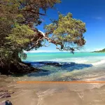 Ohope Villas Hotels in Ohope