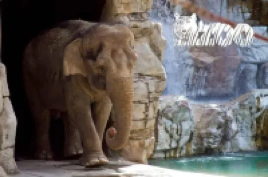 Fresno House - BBQ, Fire Pit, 3 Bed, 2 Bath & 2 Car Garage!