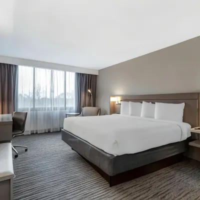 Best Western Plus Rockville Hotel  Suites Hotels near The Square at Rockville