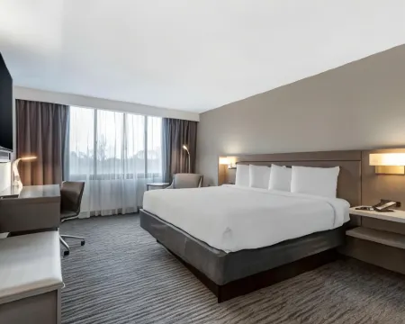 Best Western Plus Rockville Hotel  Suites Hotels in Rockville