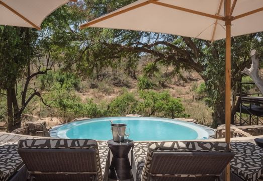 아하 마칼라리 프라이빗 게임 리저브의 객실 내부 뷰